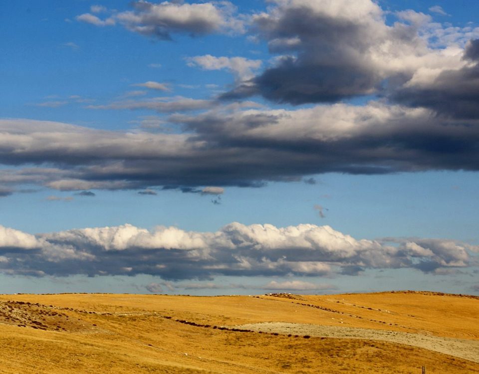 Nallihan plains, Ankara Turkey